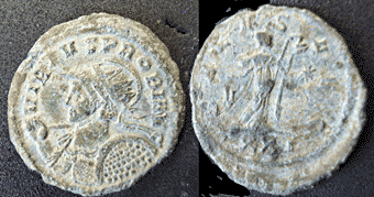 Salus