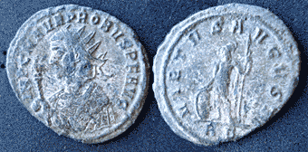 probus