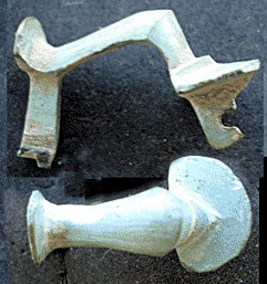 fibula