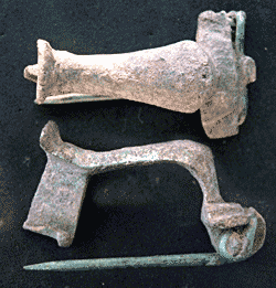 Knee Fibula